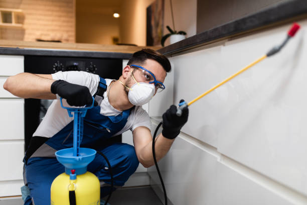 Trusted Aptos, CA Pest Control Experts