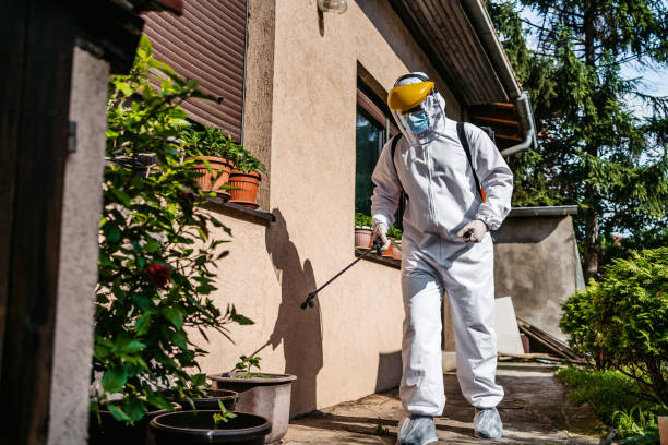 Best Cockroach Control Services  in Aptos, CA