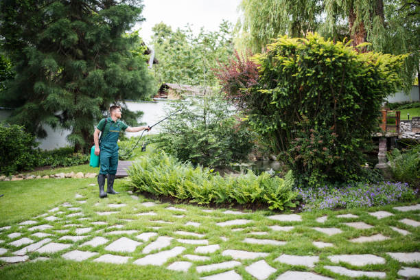 Wasp Removal Services in Aptos, CA