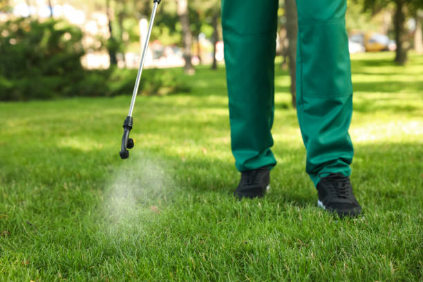 Best Mosquito Control Services  in Aptos, CA