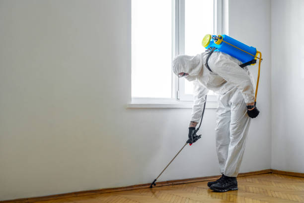 Aptos, CA Pest Control Company
