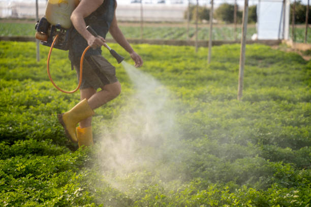 Best Ant Control Services  in Aptos, CA