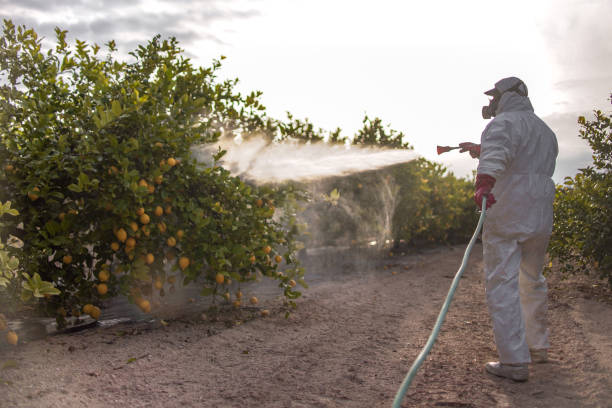 Best Best Pest Control Companies  in Aptos, CA