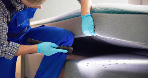 Best Rat Extermination Near Me  in Aptos, CA