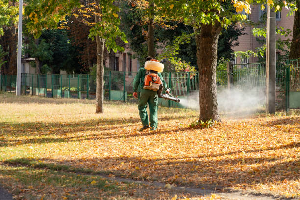 Best Flea Control Services  in Aptos, CA