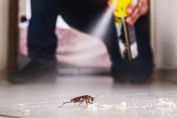Best Affordable Pest Control Services  in Aptos, CA