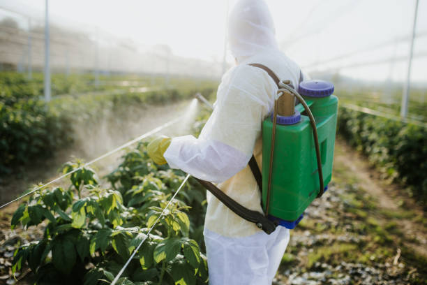 Best Pest Inspection Near Me  in Aptos, CA